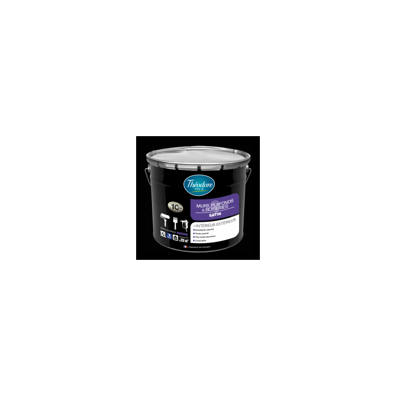 Peinture interieur/exterieur mur et plafond THEODORE blanc satin de 1L