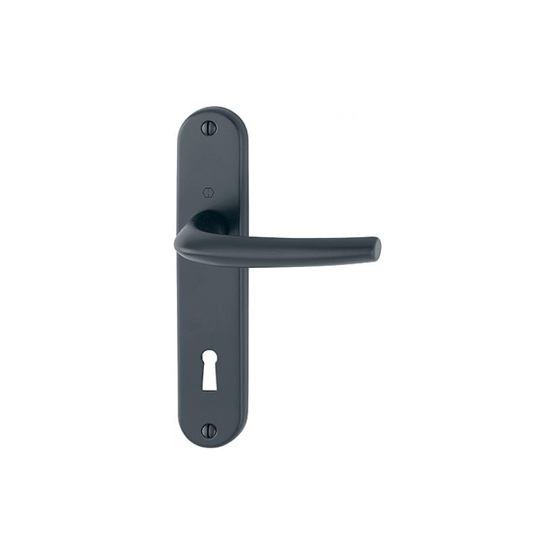 Poignée de porte intérieure aluminium noir mat San Diego HOPPE 11719953 à  clé L - 165 m/m