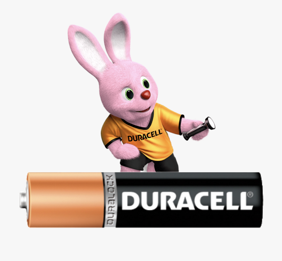 Duracell Chargeur Piles Rechargeables Rapide 45 minutes