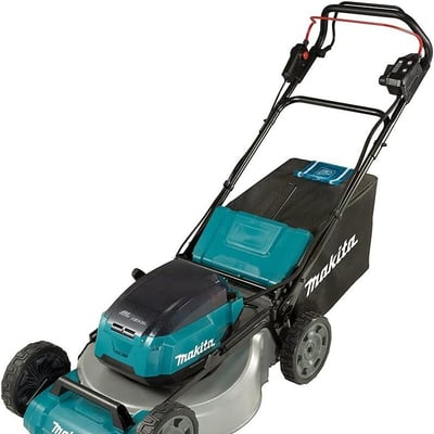 26005